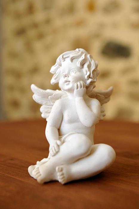 Maison Des Anges Bouin  Стая снимка